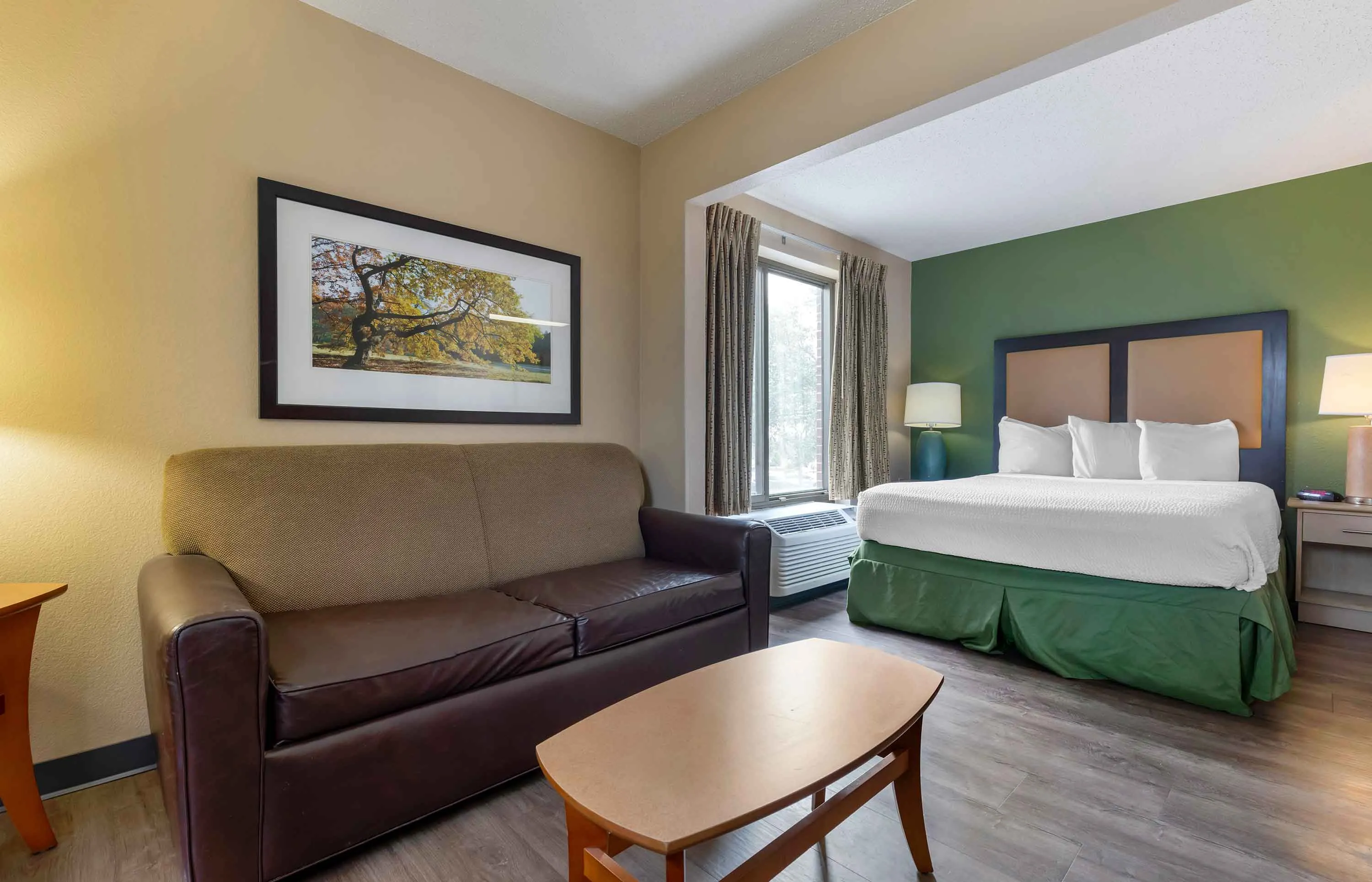 Studio Suite - 1 Queen Bed