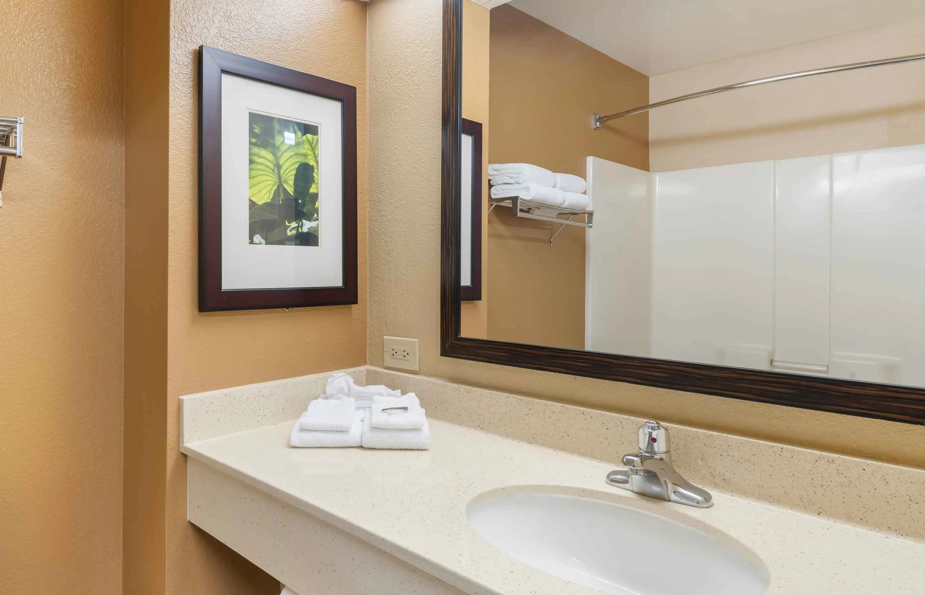 Studio Suite - 1 King Bed