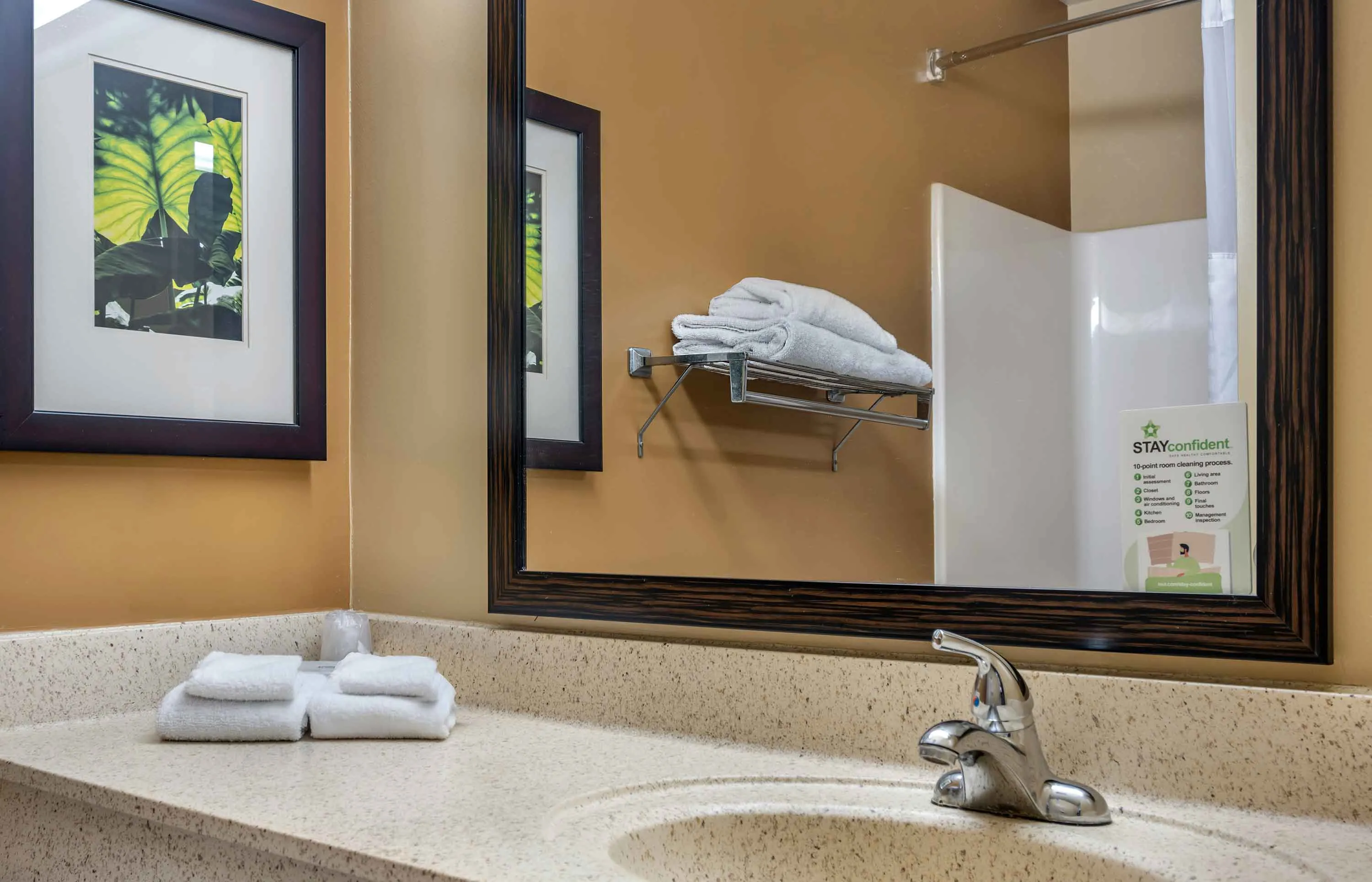 Studio Suite - 2 Full Beds