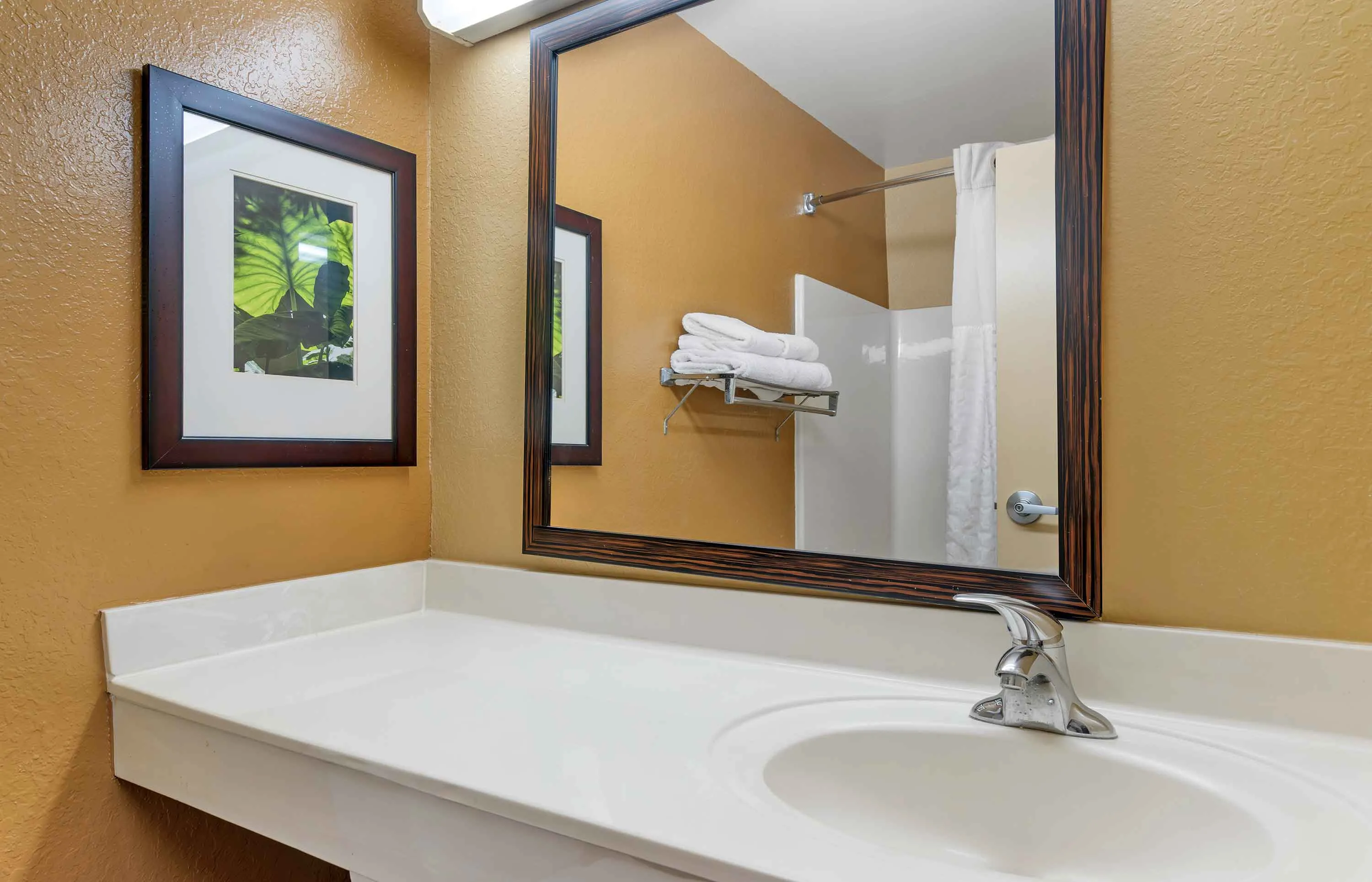 Studio Suite - 2 Full Beds