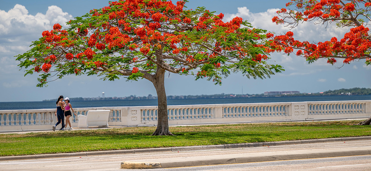 12-bayshoreblvd.jpg