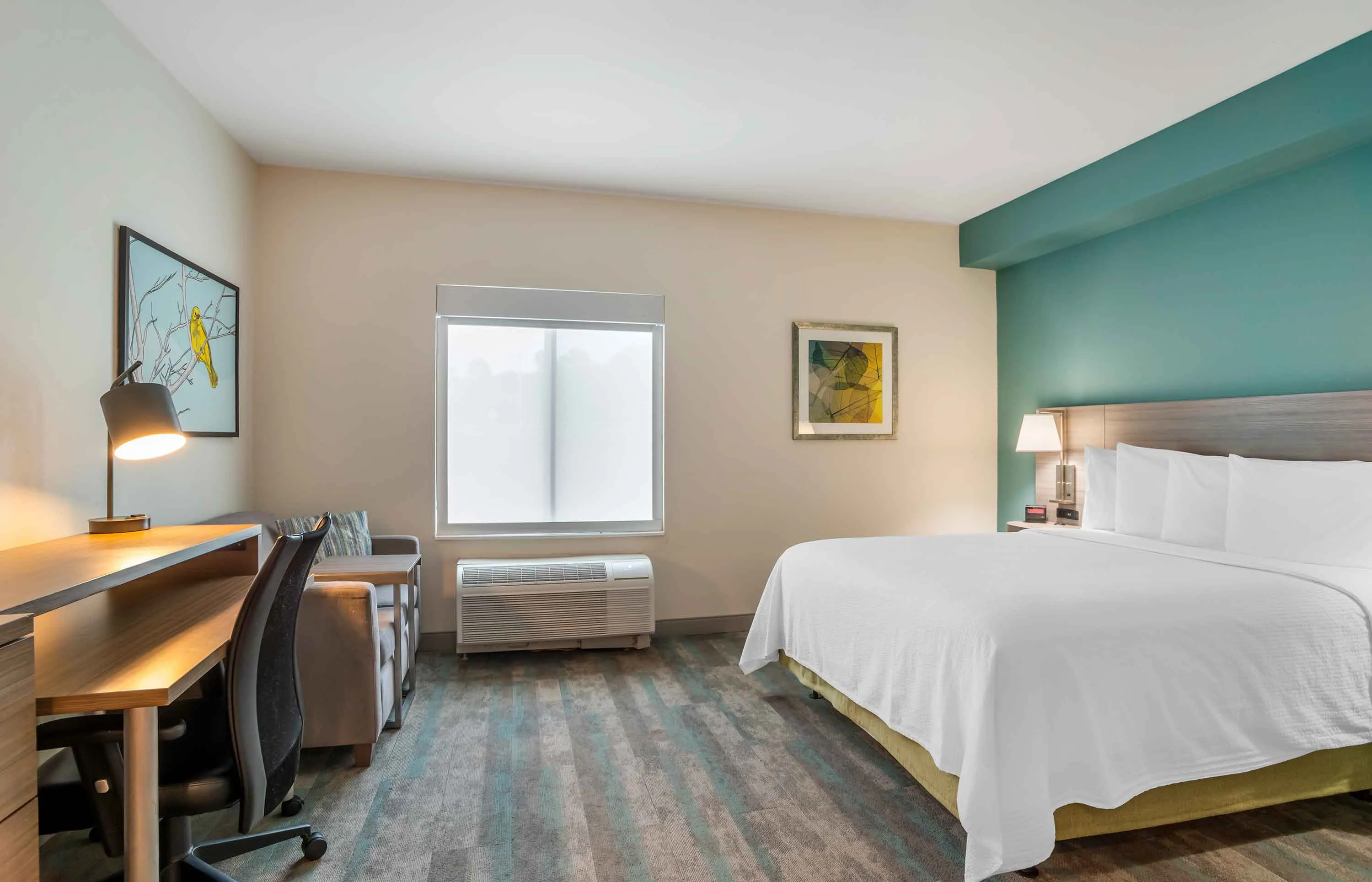 Studio Suite - 1 Queen Bed